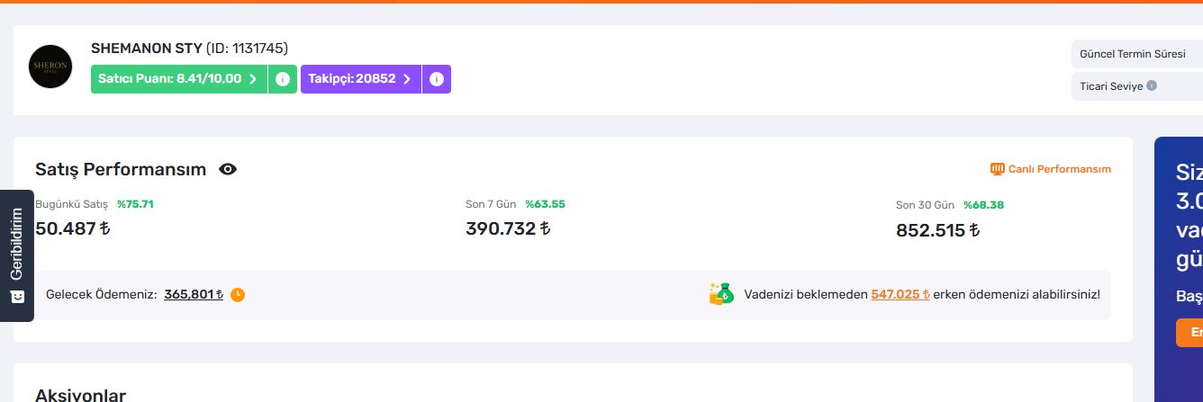 Trendyol satış performansı ekran görüntüsü 2